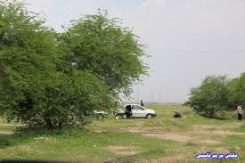 روز طبیعت سال ۱۴۰۰