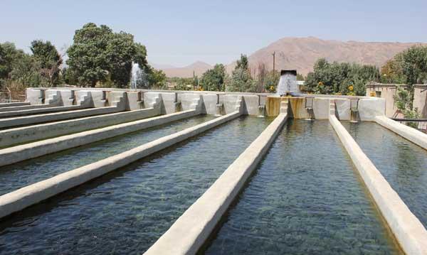 قمچقای بیجار روستایی با ۳۴ استخر پرورش ماهی