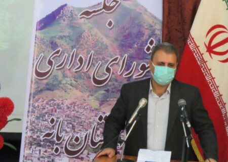 اعلام آمادگی ۴۵ سرمایه گذار خارجی برای حضور در منطقه آزاد بانه