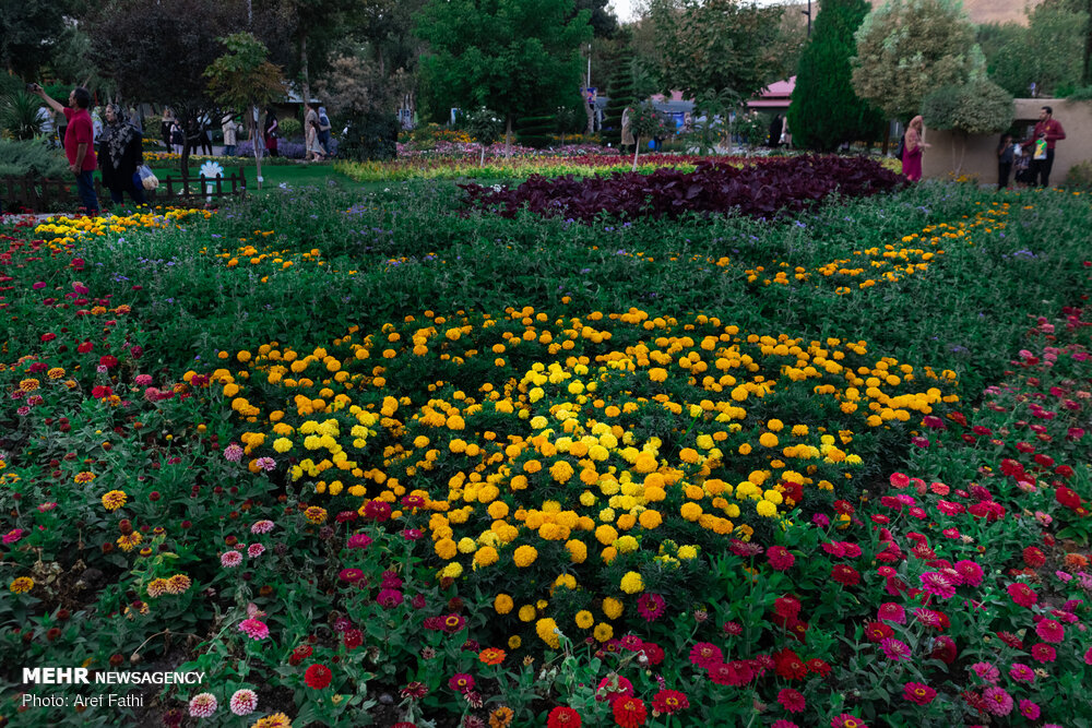 ایجاد باغچههای مشارکتی در آپارتمانهای پایتخت