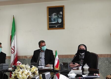 بانک اطلاعاتی بانوان کار آفرین کردستان جمع آوری می شود