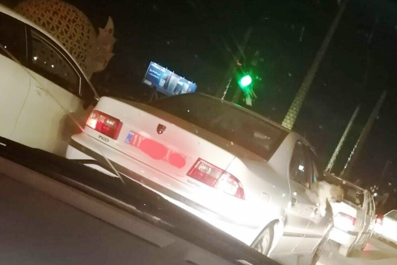 برکناری مدیر خوزستانی که با خودروی دولتی سگ گردانی میکرد