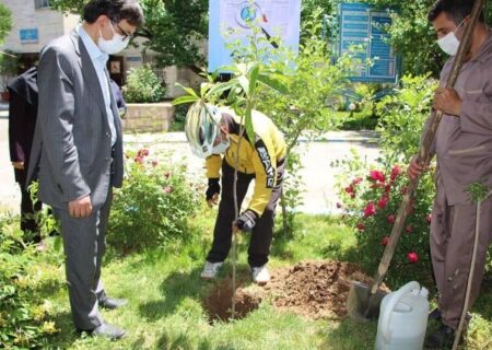 دوچرخه‌سوار آستارایی در بیمارستان توحید سنندج نهال کاشت