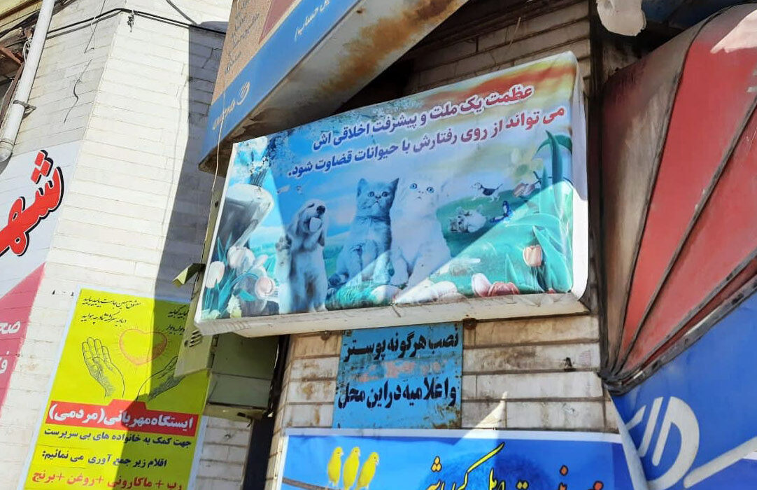 دیواری از مهربانی برای حیوانات در سنندج