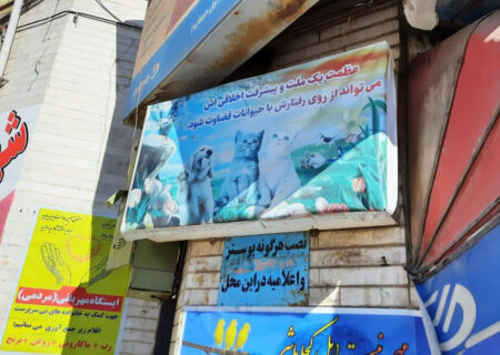 دیواری از مهربانی برای حیوانات در سنندج