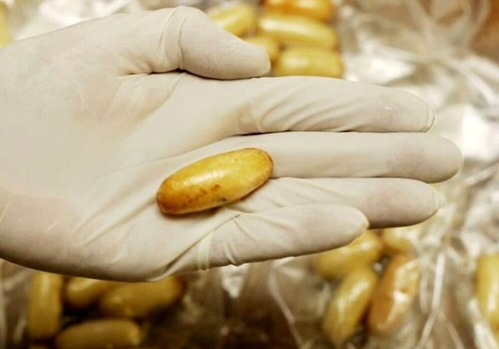 رشد صد در صدی مرگ بادی پکرها در پایتخت