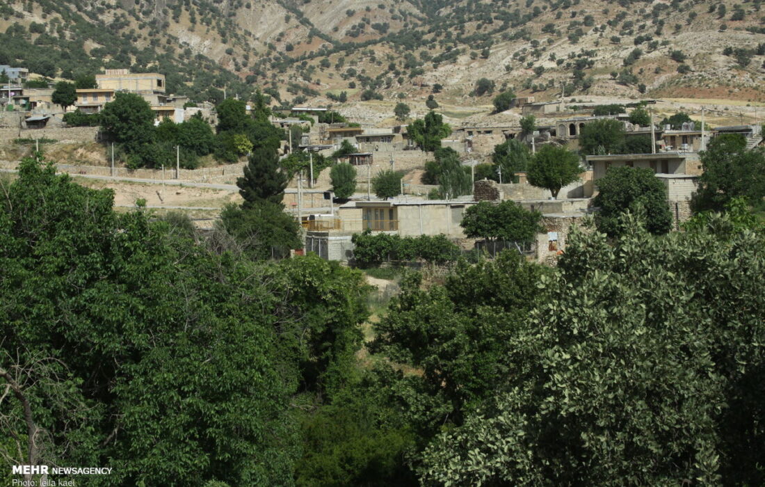 سفر گردشگر اروپایی با عشایر/ امضای تفاهمنامههای مشترک میراثی