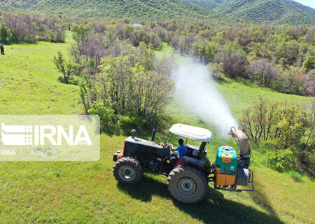 مبارزه با آفت جوانه‌خوار بلوط در جنگل‌های کردستان