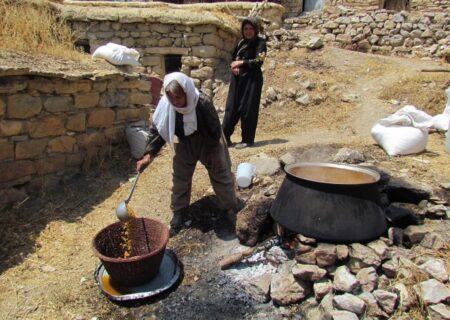 مراتب ثبت ملی هشت اثر میراث فرهنگی ناملموس کردستان ابلاغ شد