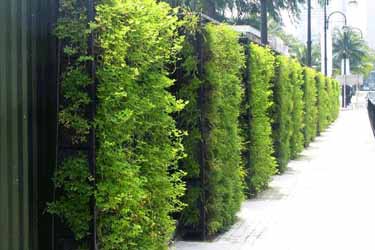 مشارکت مدیران ساختمان در برگزاری برنامههای «همسایههم»