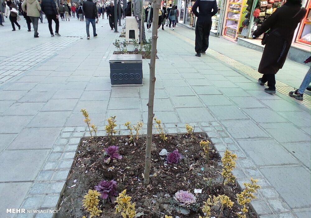 نیمی از مسیر سواره تجریش پیاده راه می شود