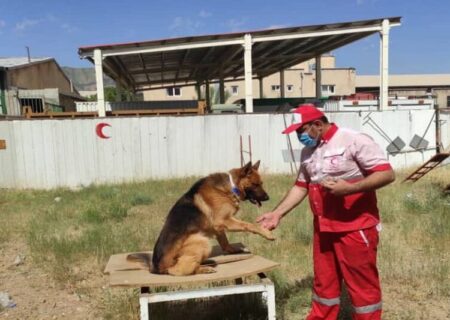 هلال احمر کردستان به سگ‌های تجسس تجهیز شد