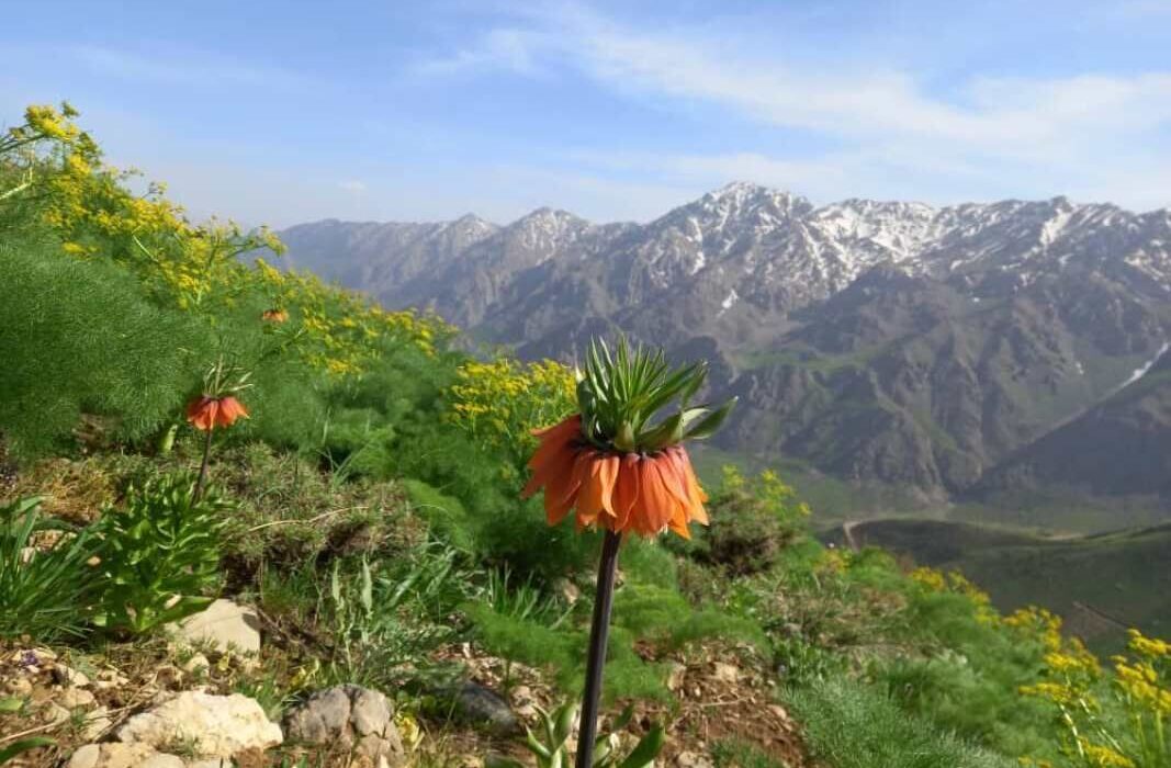 “پیرروستم” منطقه ای سرسبز برای ییلاق و قشلاق مردم هورامان تخت