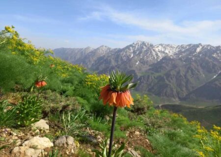 “پیرروستم” منطقه ای سرسبز برای ییلاق و قشلاق مردم هورامان تخت