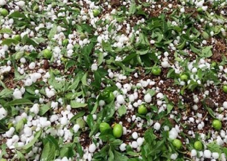 کردستانی ها منتظر بارش باران و تگرگ باشند