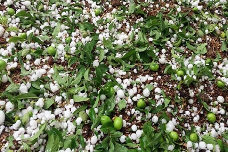 کردستانی ها منتظر بارش باران و تگرگ باشند
