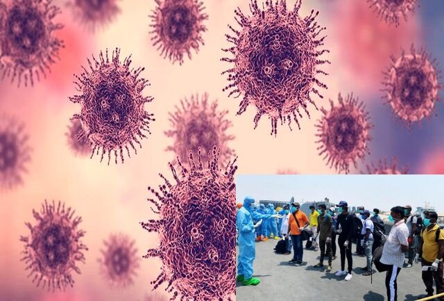 کرونای هندیها در بوشهر/ ادعای میراث فرهنگی و اظهارات علوم پزشکی