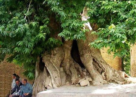 ۹۱ اثر کردستان سال گذشته در فهرست آثار ملی کشور به ثبت رسید