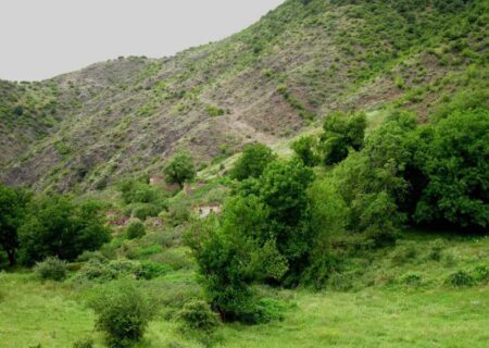 طبیعت حاشیه شهر بیجار