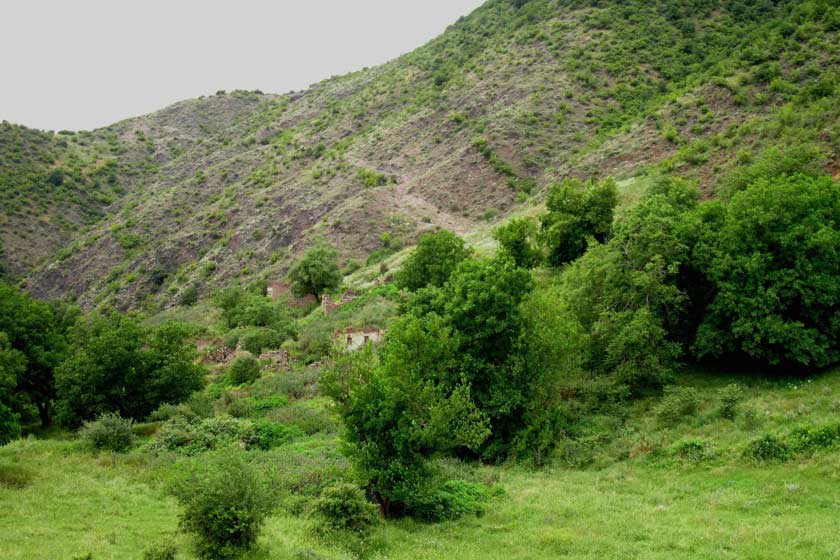 طبیعت حاشیه شهر بیجار