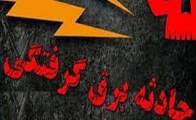 جوان بانه ای بر اثر برق گرفتگی جان باخت