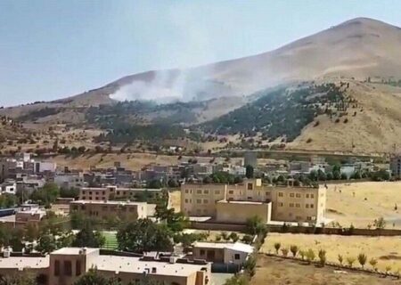 آتش‌سوزی در پارک آبیدر سنندج مهار شد