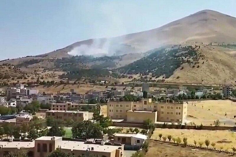 آتش‌سوزی در پارک آبیدر سنندج مهار شد