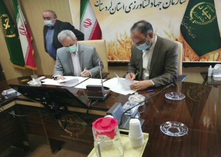 گروه‌های جهادی در کردستان ظرفیتی برای دستیابی به تولید پایدار است