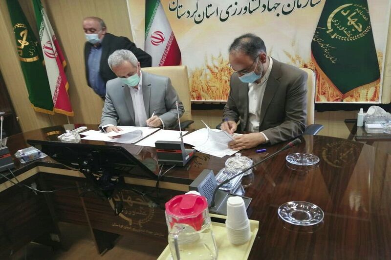 گروههای جهادی در کردستان ظرفیتی برای دستیابی به تولید پایدار است