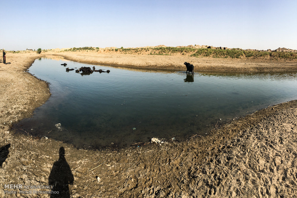 آب رهاسازی شده برای هورالعظیم کافی نیست