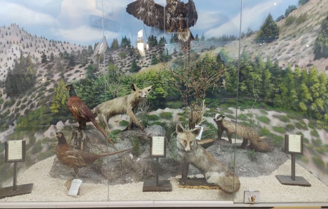 افتتاح دو خانه محیط زیست دیگر در پایتخت