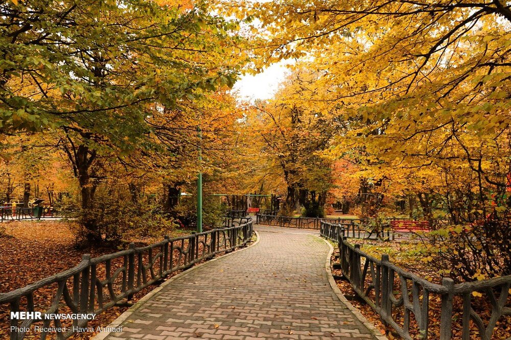 با رعایت الزامات محیط زیستی؛سر در بوستان کوهسار را شما طراحی کنید