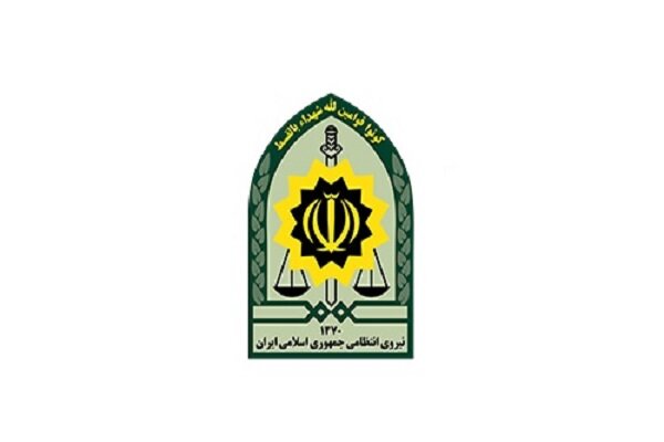بررسی آیین نامه اجرایی بیمه مسئولیت مدنی کارکنان ناجا در دولت