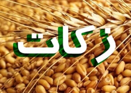 بیش از ۱۲ میلیارد ریال زکات در سروآباد جمع‌آوری شد