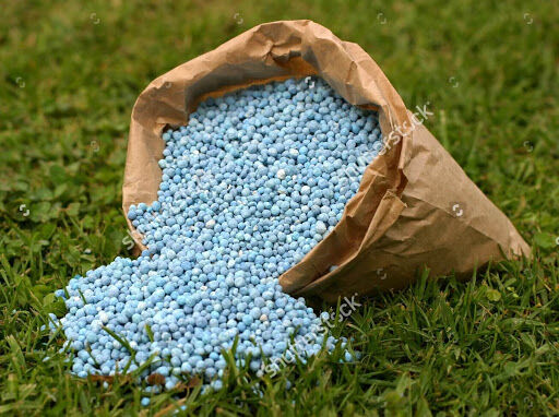 بیش از ۱۶ هزار تن انواع کود شیمیایی به کشاورزان کردستانی تحویل داده شد