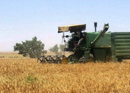 بیش از ۲۳۱ میلیارد ریال بهای خرید تضمینی گندم در کردستان پرداخت شد