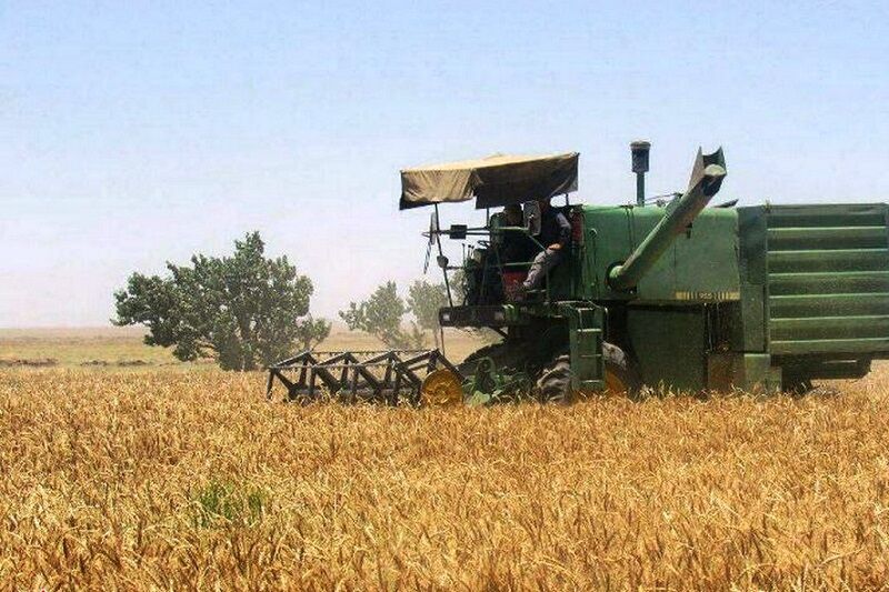 بیش از ۲۳۱ میلیارد ریال بهای خرید تضمینی گندم در کردستان پرداخت شد
