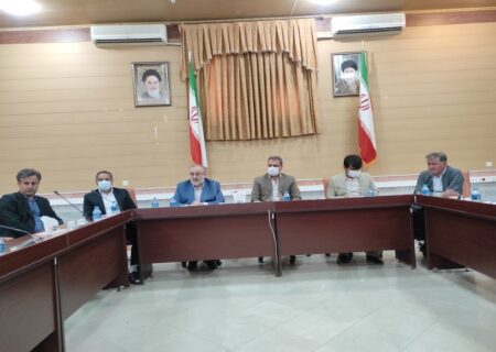 تراکنش سرمایه‌گذاران غیربومی مشکل اصناف بانه‌ای