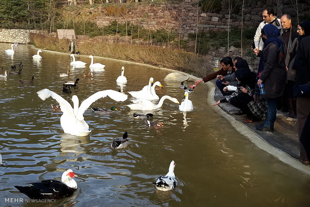 تصویب یک طرح بدون اطلاع از مقررات جدید