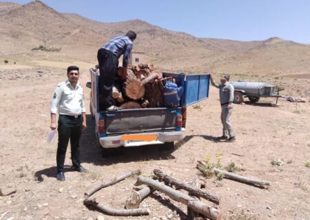 توقیف ماشین حمل چوب قاچاق در منطقه حفاظت شده عبدالرزاق سقز