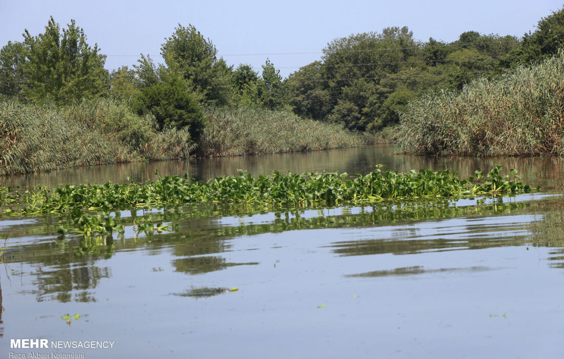 ثبت اسناد تالاب ها به اسم وزارت نیرو، غیر قانونی است