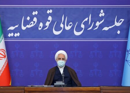 دادستان کل کشور همراه با تعزیرات به مسئله گرانفروشی ورود کند