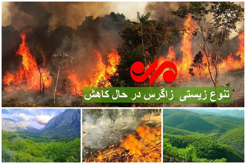 داغ زاگرس بر دل طبیعت/ آتش ریههای فارس را میسوزاند!