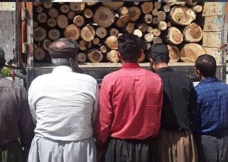 عاملان قطع درختان جنگلی در بخش حسین‌آباد سنندج دستگیر شدند