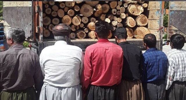 عاملان قطع درختان جنگلی در بخش حسینآباد سنندج دستگیر شدند