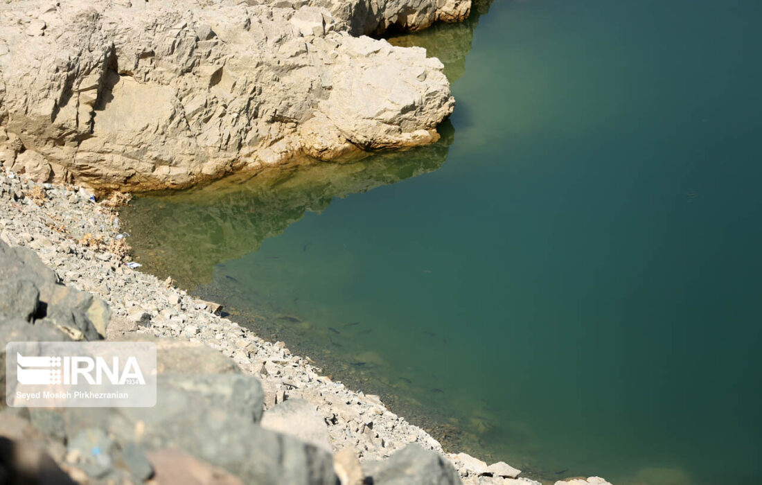 ماهیگیری از آب شرب سنندج