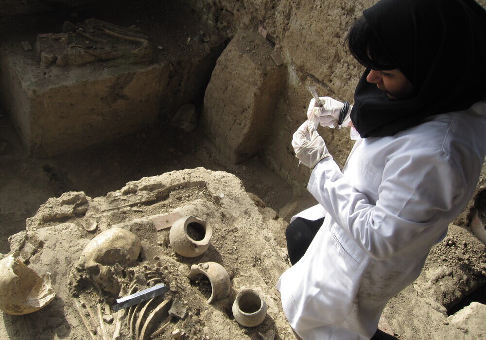 مطالعه ژنتیکی روی بقایای استخوانی به دست آمده از کاوشهای باستانی