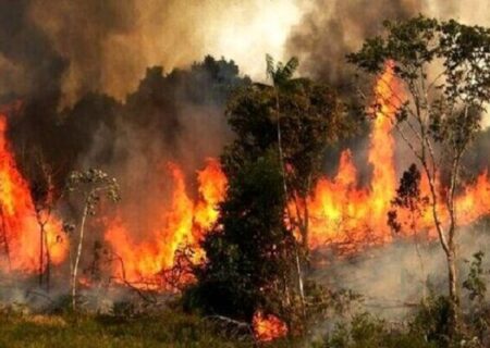 وقوع ۹۶ مورد آتش سوزی در جنگل ها و مراتع کردستان