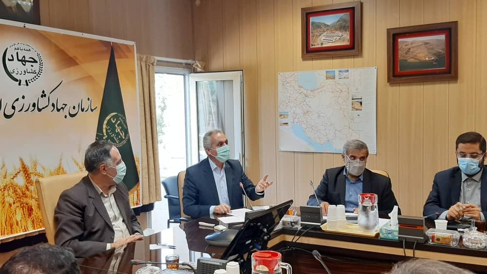 خروج غیر قانونی روزانه ۳۰ تن مرغ از کردستان