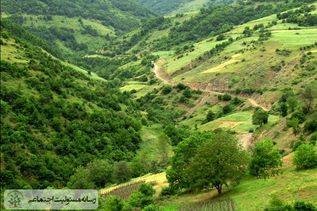 سقوط مرگبار جوان ۲۰ ساله قروه ای از ساختمان ۴ طبقه